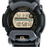 Ремешок CASIO DW-002-1BV