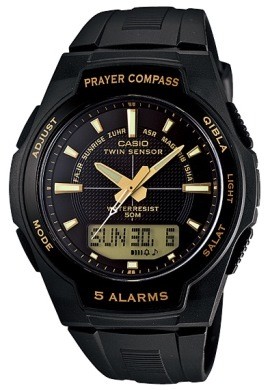 Ремешок CASIO CPW-500H-1AV