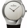 РЕМЕШОК SKAGEN 582SSLC