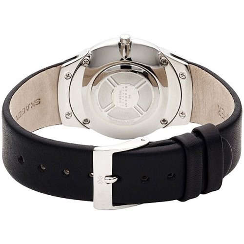 РЕМЕШОК SKAGEN 582SSLC