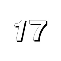 Браслеты 17 мм.